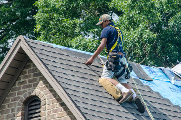 Best New Roof Installation  in Mineralwells, WV